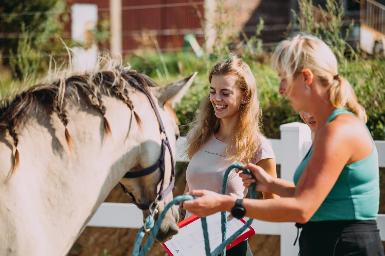 Polska Akademia Zoopsychologii i Animaloterapii