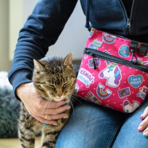 Zoopsycholog/Behawiorysta spec. koty