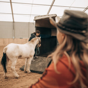 Zoopsycholog/Behawiorysta spec. konie