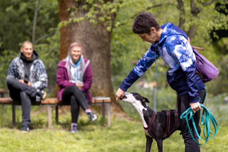 crgmi_49_90f63c49-d81f-4b6c-a6c4-d9693a898891.jpg Trener Psów