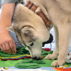 Dogoterapia/Kynoterapia