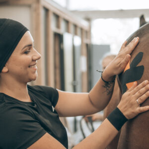 Zoofizjoterapeuta spec. konie